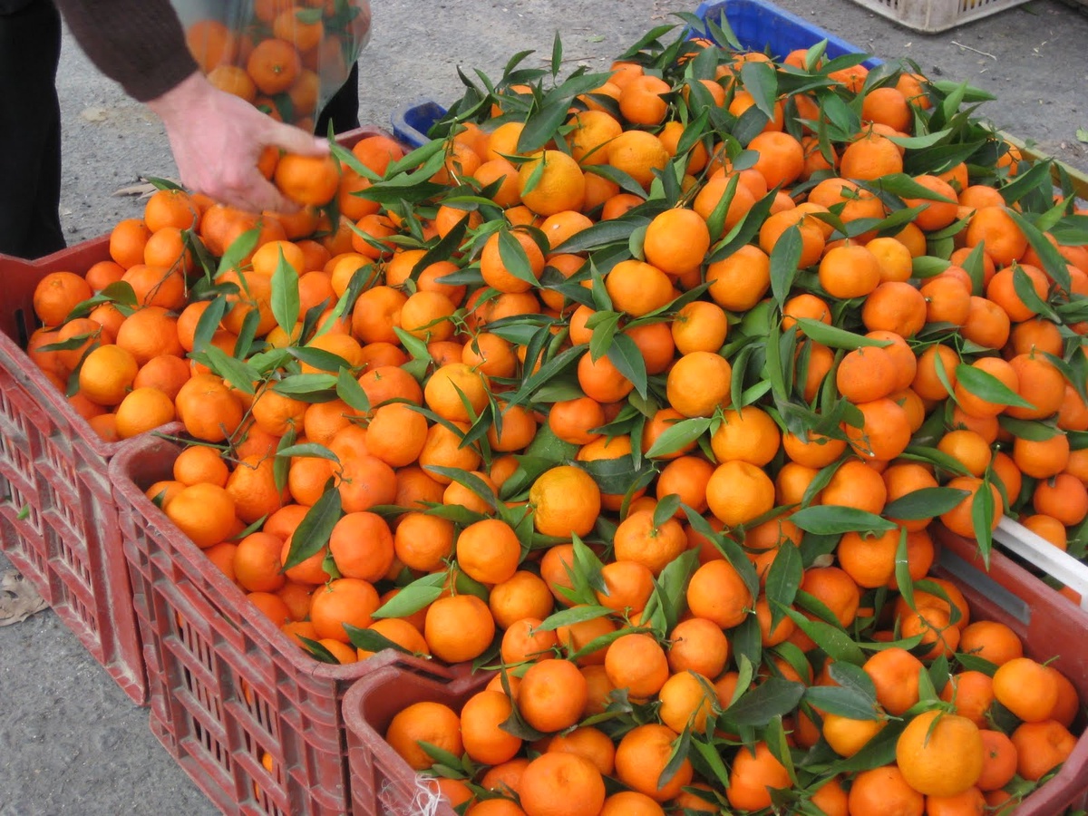 Şubatta Zam Şampiyonu Mandalina Oldu