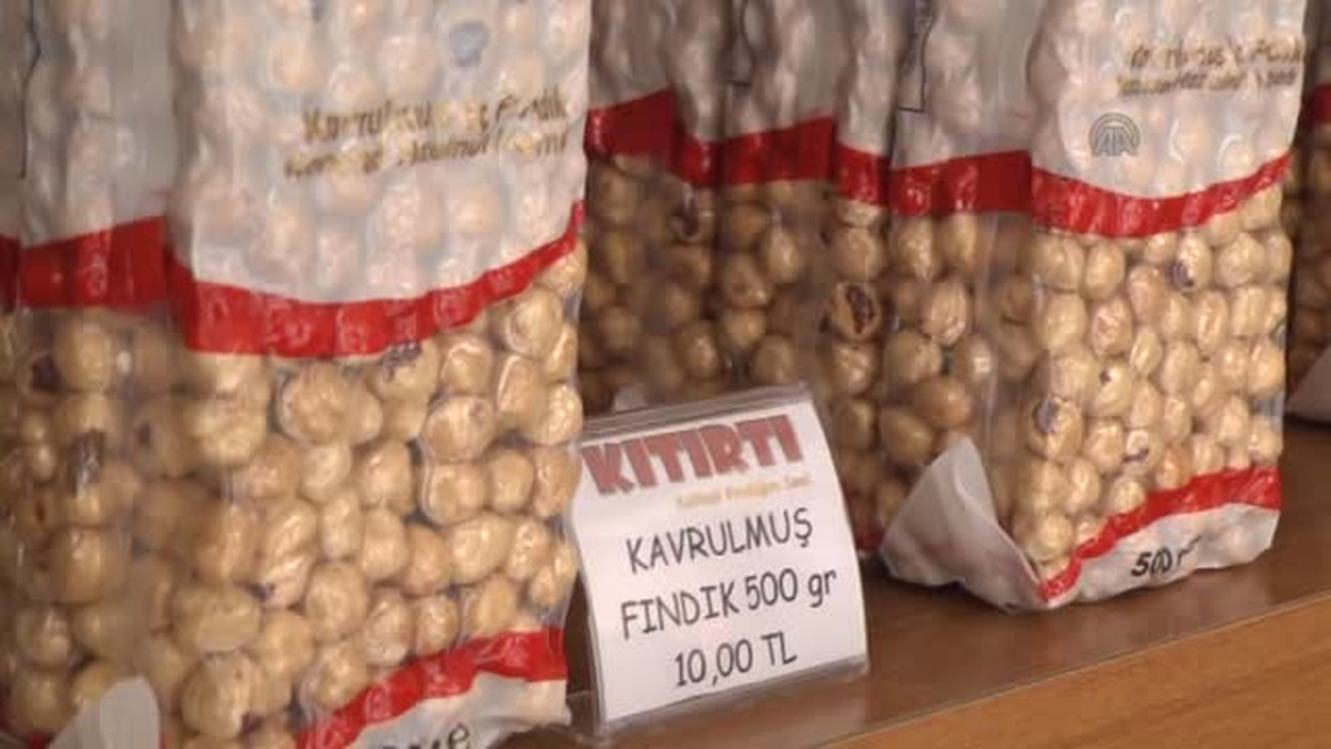 Türkiye\'nin fındık ihracatını İtalya ve Gürcistan düşürüyor -