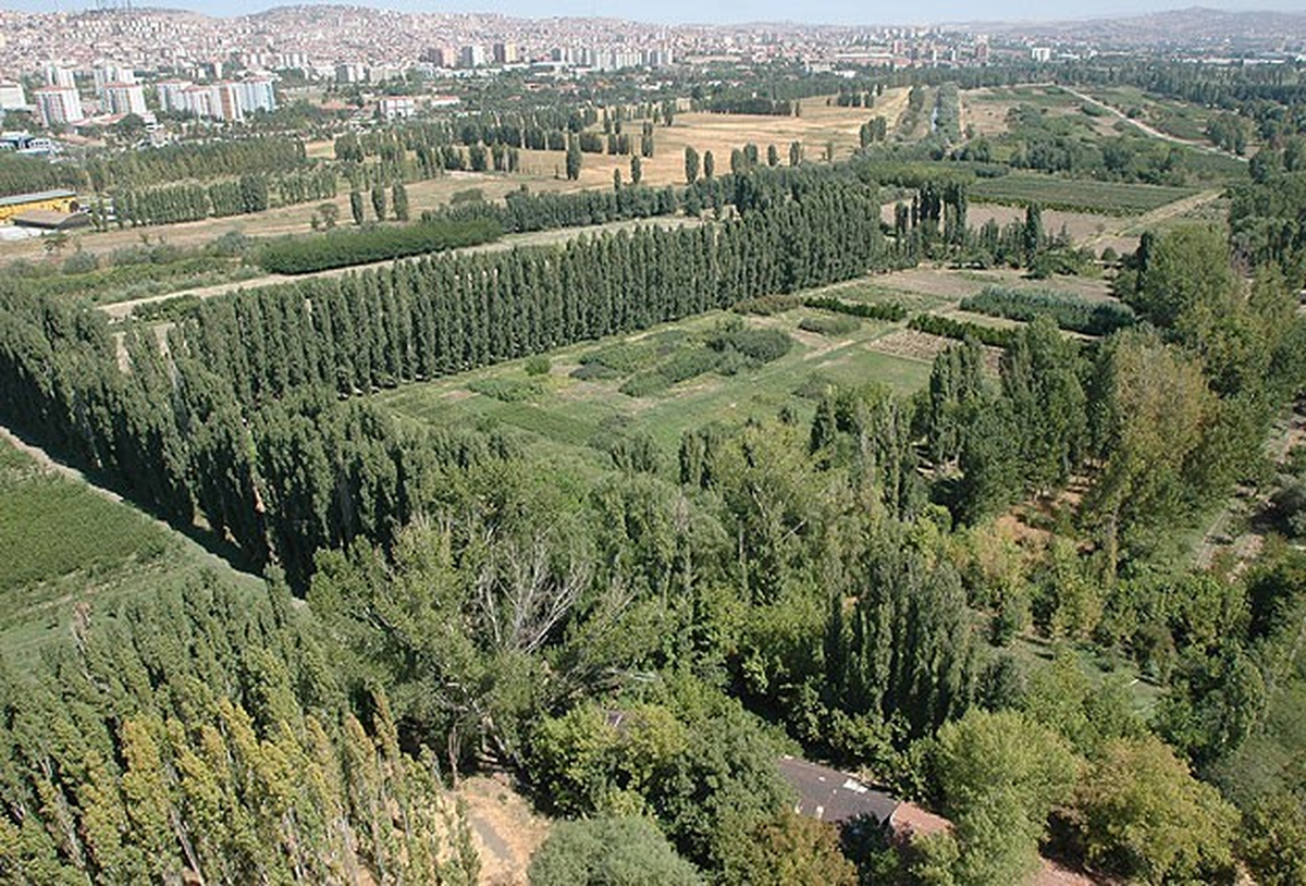Aoç Arazisinin Tarihi Sit Statüsünün Kaldırılmasına İptal Kararı