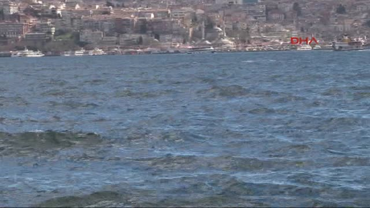 Boğaz\'da Yunus Şöleni