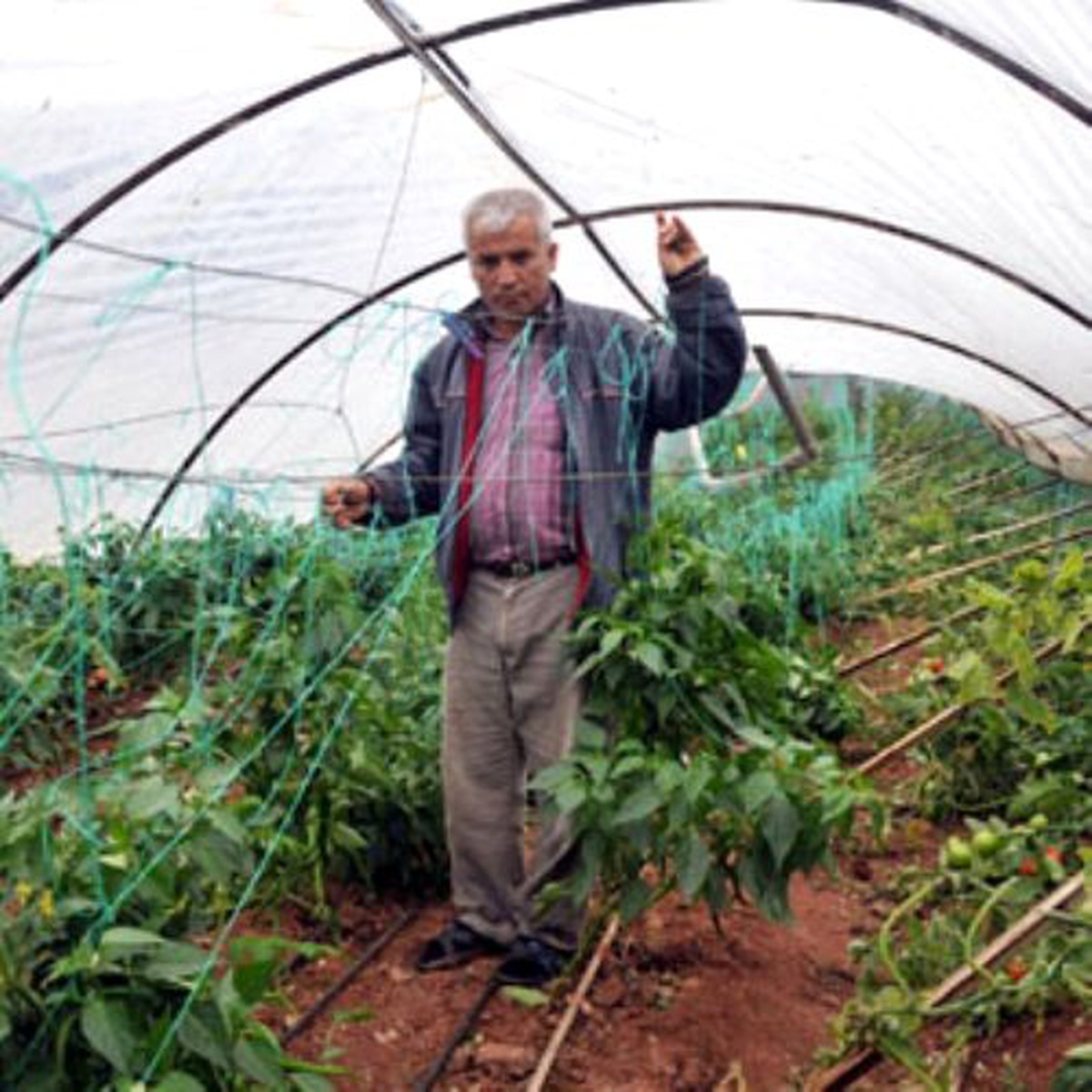 Kumluca\'da Hortum Seraları Vurdu