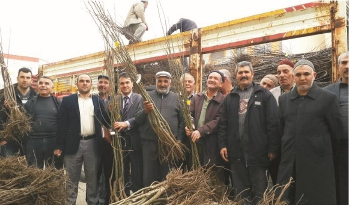 Sorgun\'da 7 Bin 300 Adet Meyve Fidanı Dağıtıldı