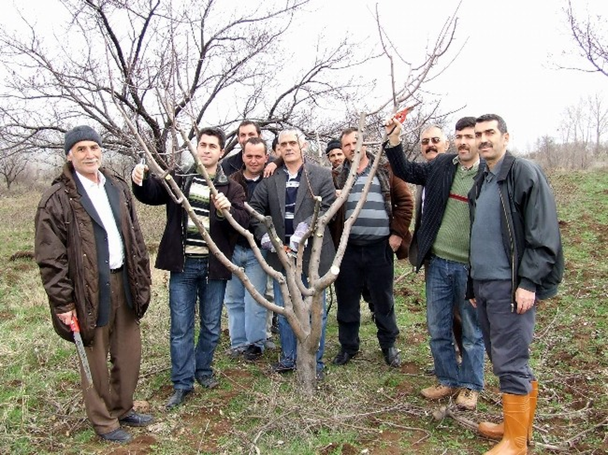 Suşehri\'nde Meyveciliği Geliştirme Projesi