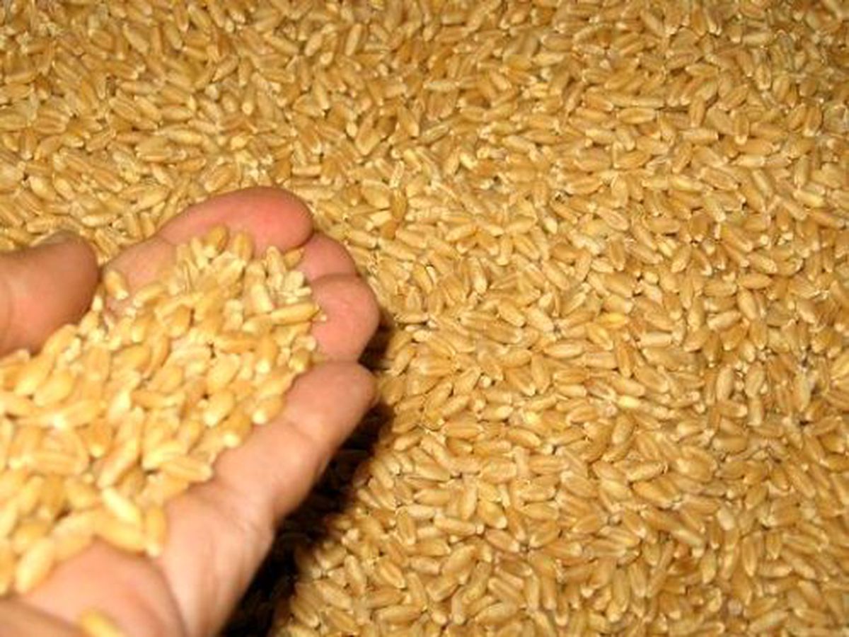 Uşak Ticaret Borsası