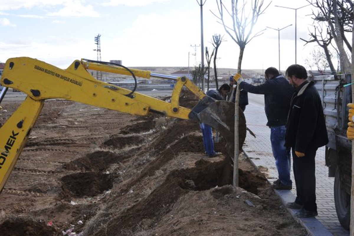 Ağaçlandırma Çalışmaları Sürüyor