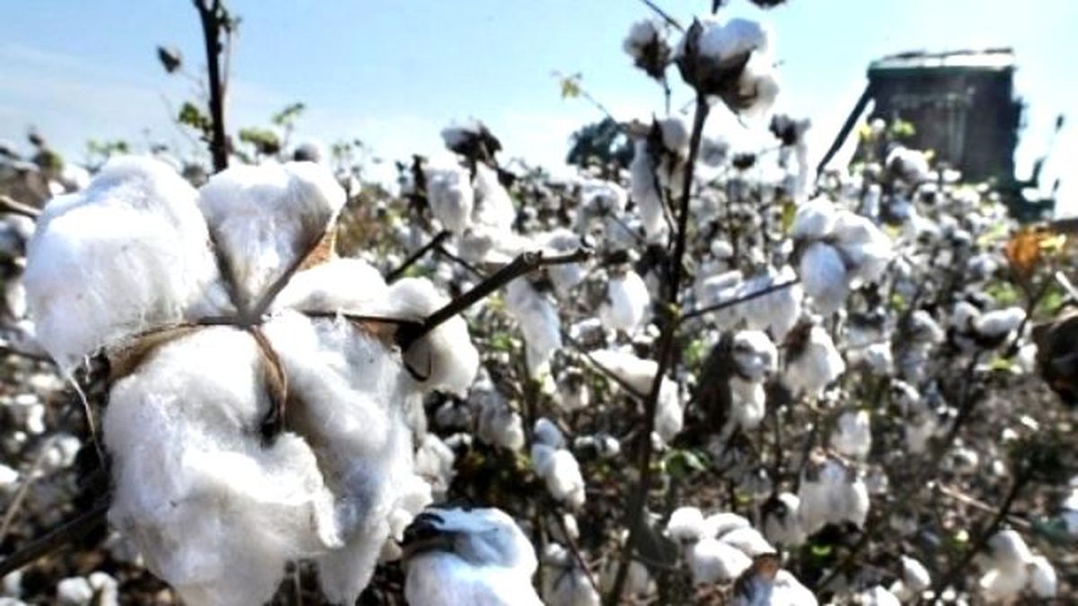 Şanlıurfa Ticaret Borsası