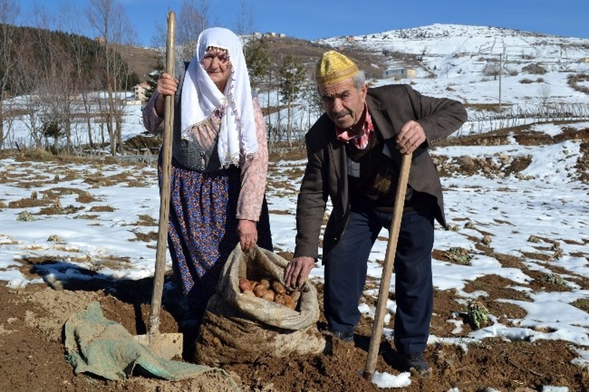 Bozulmaması İçin Yerin Altına Saklıyorlar