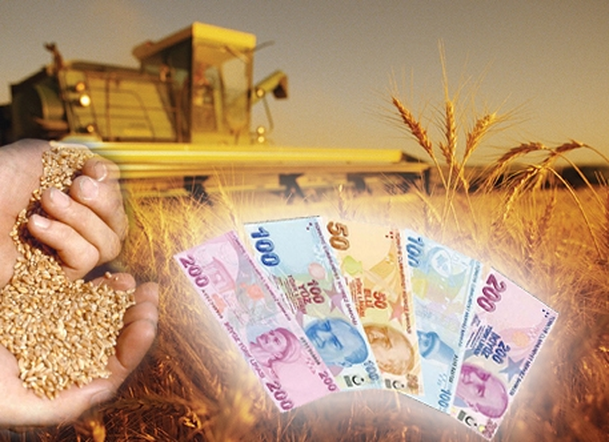 Ulaş\'ta Çiftçilere Bilgilendirme