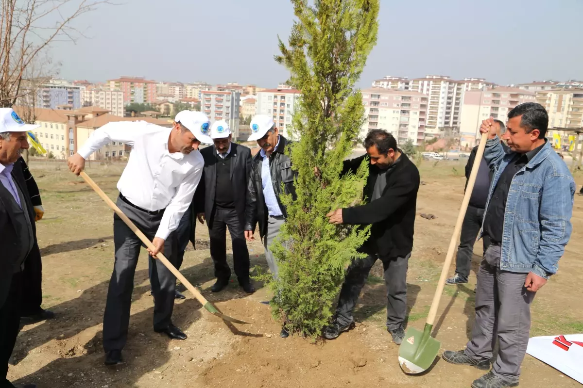 Yaşar Kemal Ormanına 500 Çam Dikildi