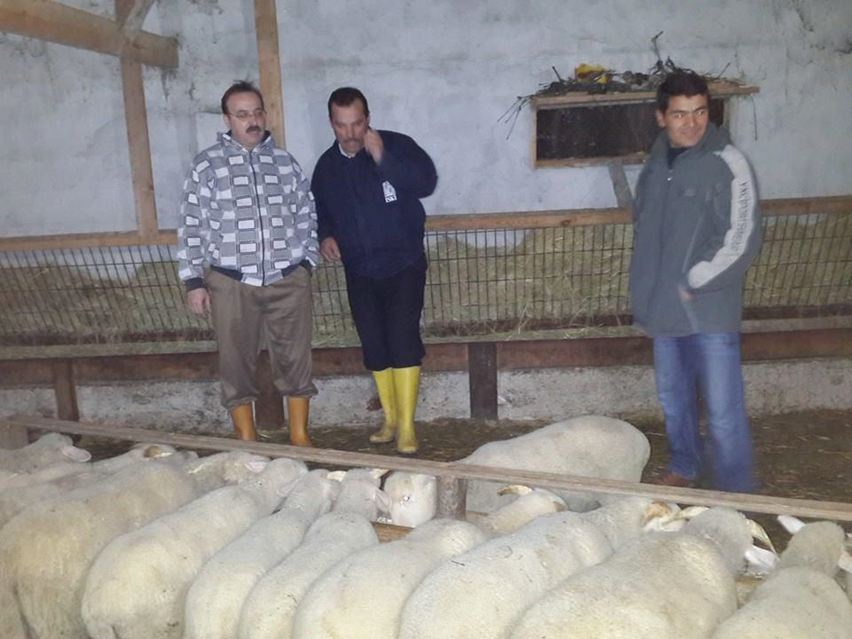 Yerel Seçimlere Doğru