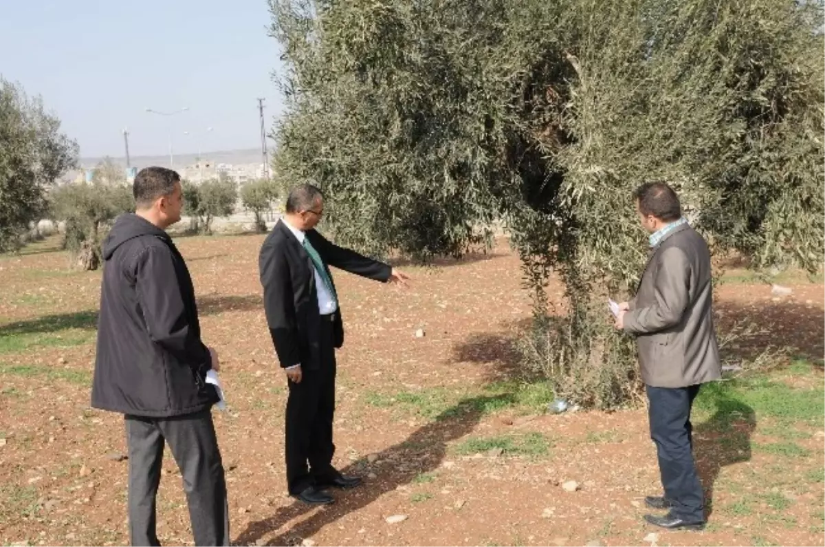 Ziraat Fakültesi Faaliyete Geçiyor