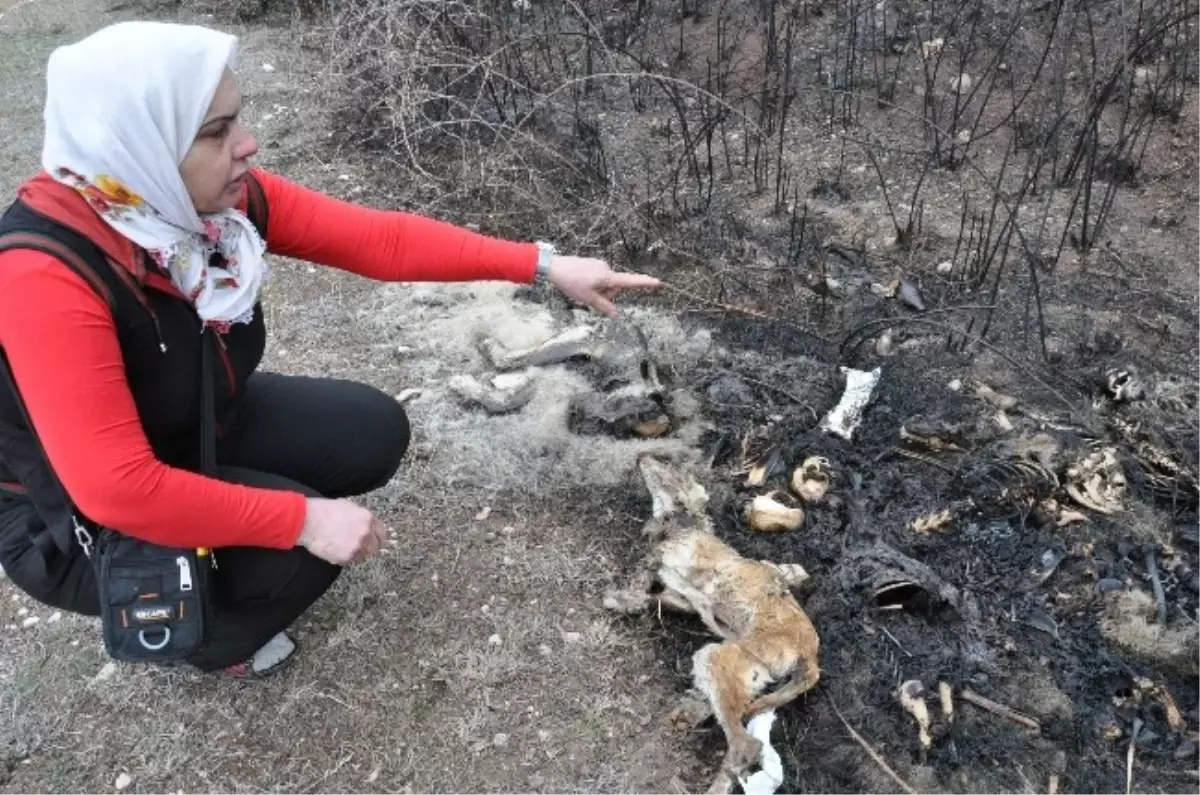 Amasya Belediye Başkanı\'ndan Korkunç İddiaya Cevap