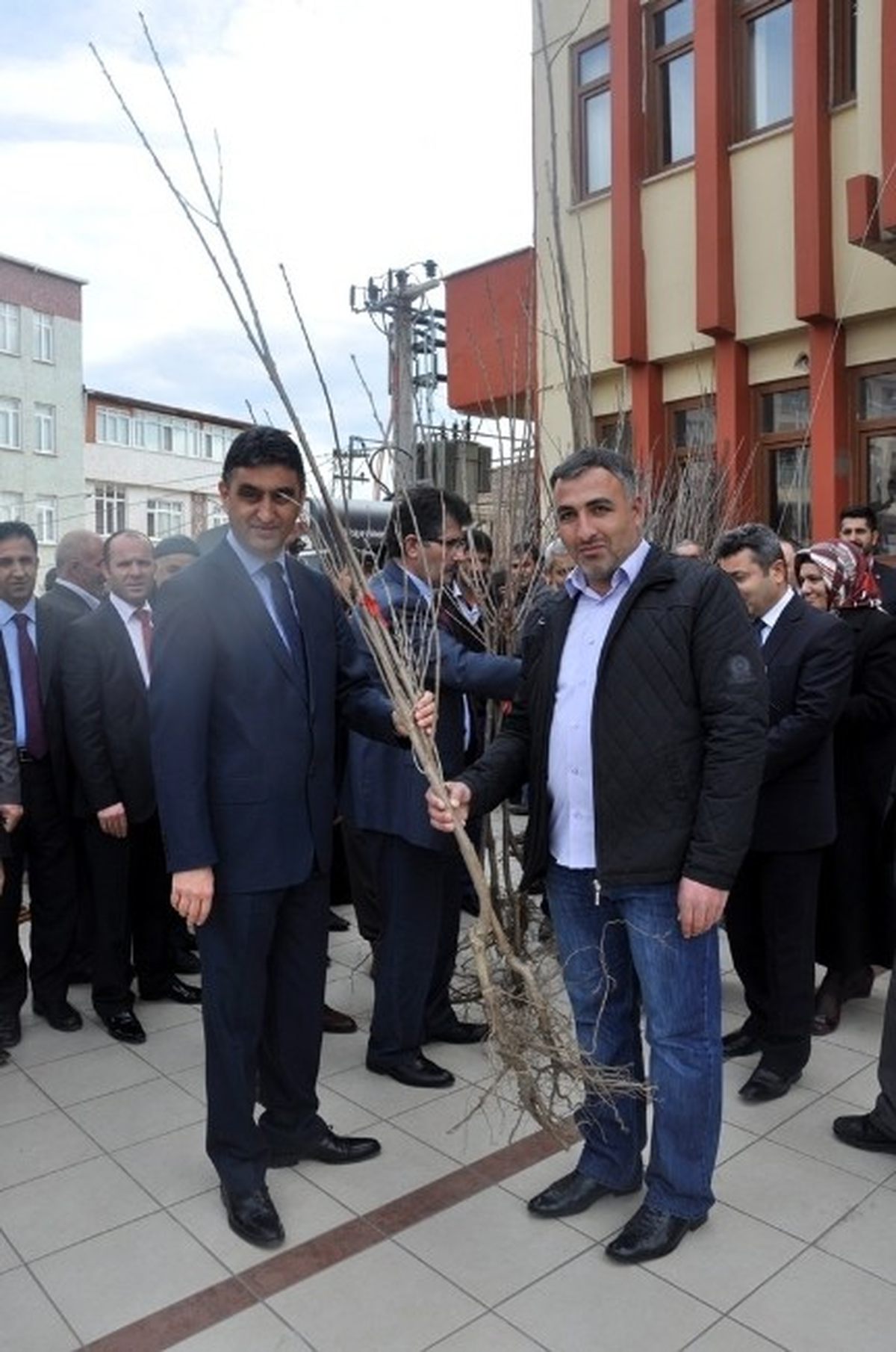 Dilovası\'nda Vatandaşlara Kiraz Fidanı Dağıtıldı