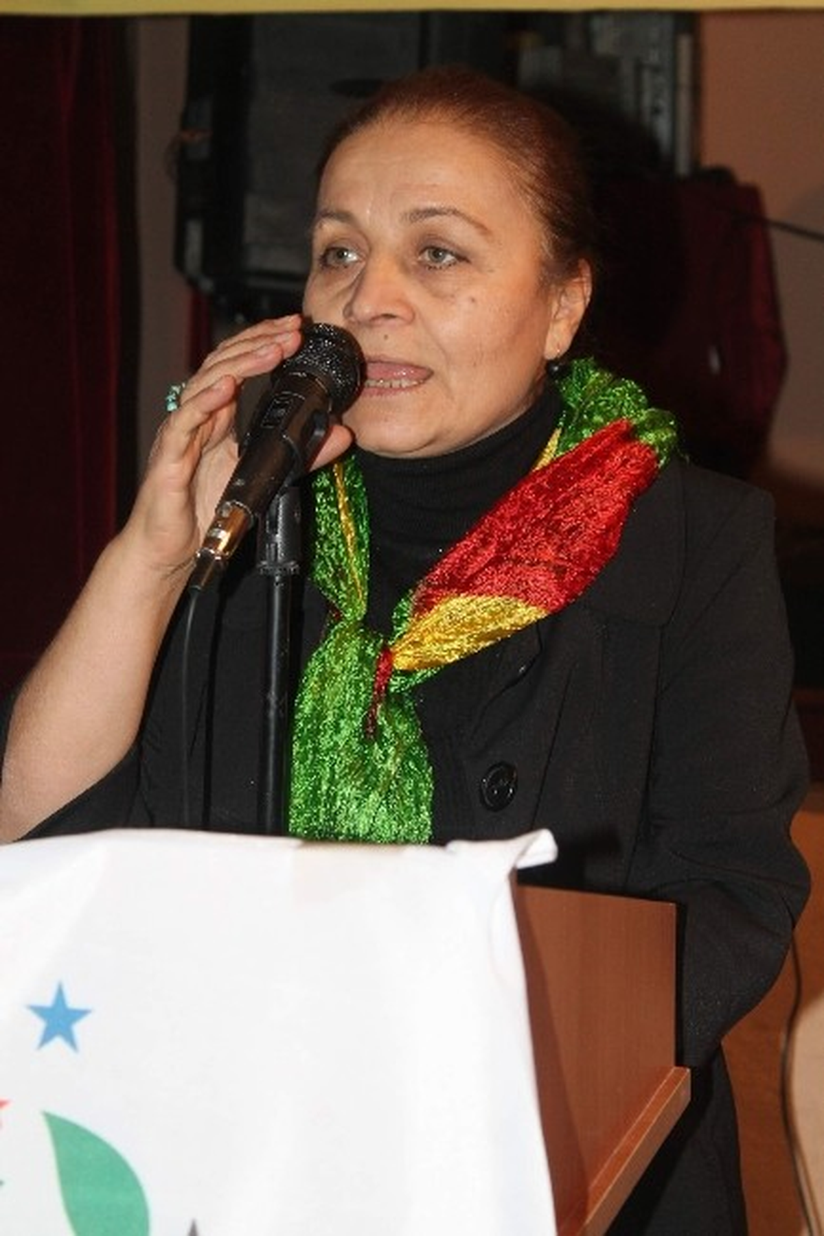 Hdp Kırşehir Teşkilatı Aksaray\'da Yaşanan Olayları Kınadı