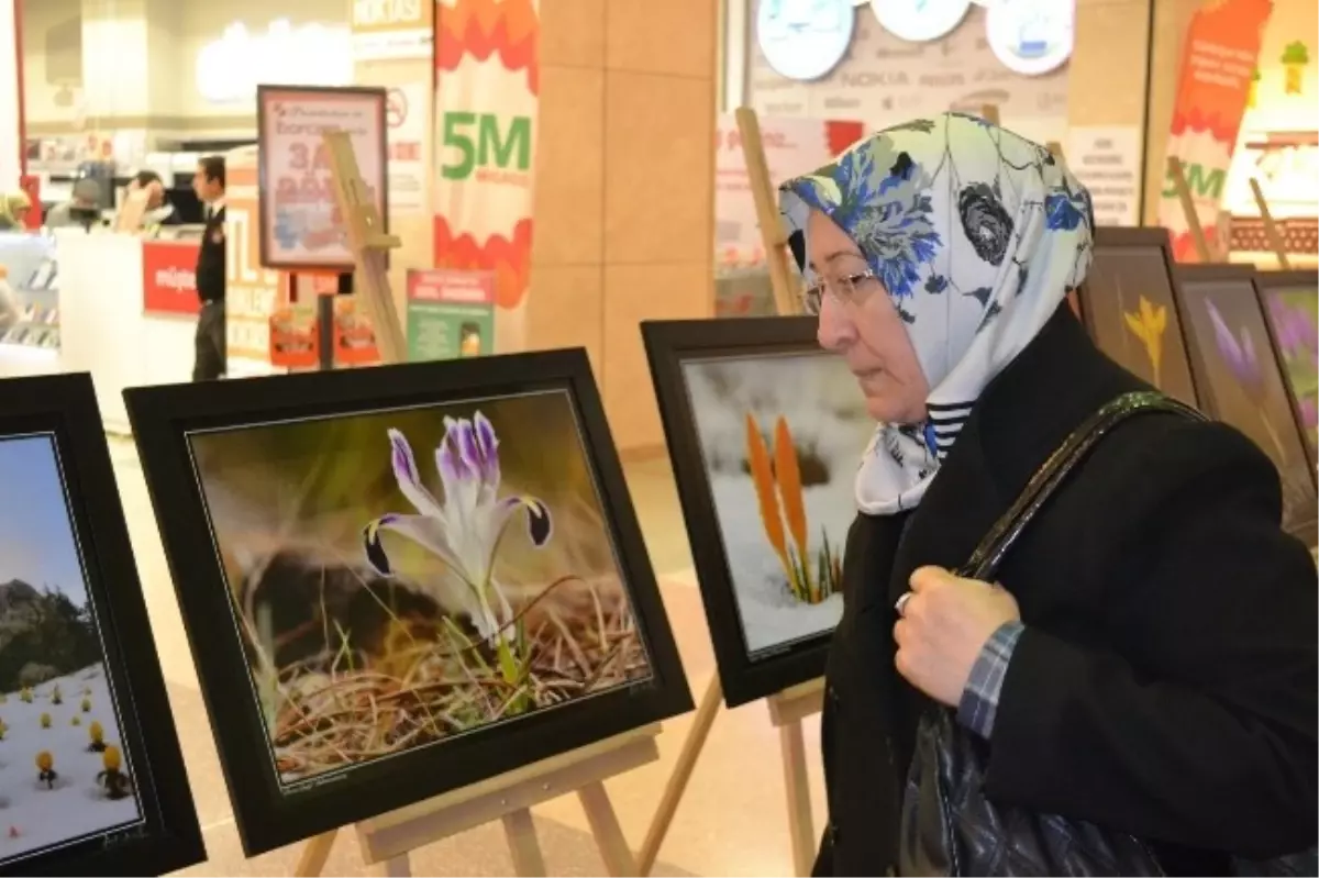 Her Aile Bir Çiçektir" Sergisi Kahramanmaraş Piazza\'da Açıldı