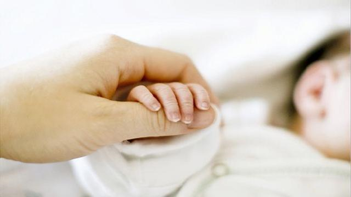 Leyla Ana, Tüp Bebek İstiyor