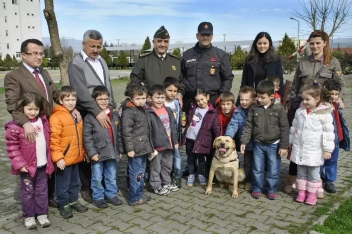 Düzce\'de Minik Öğrencilerden Jandarmaya Ziyaret