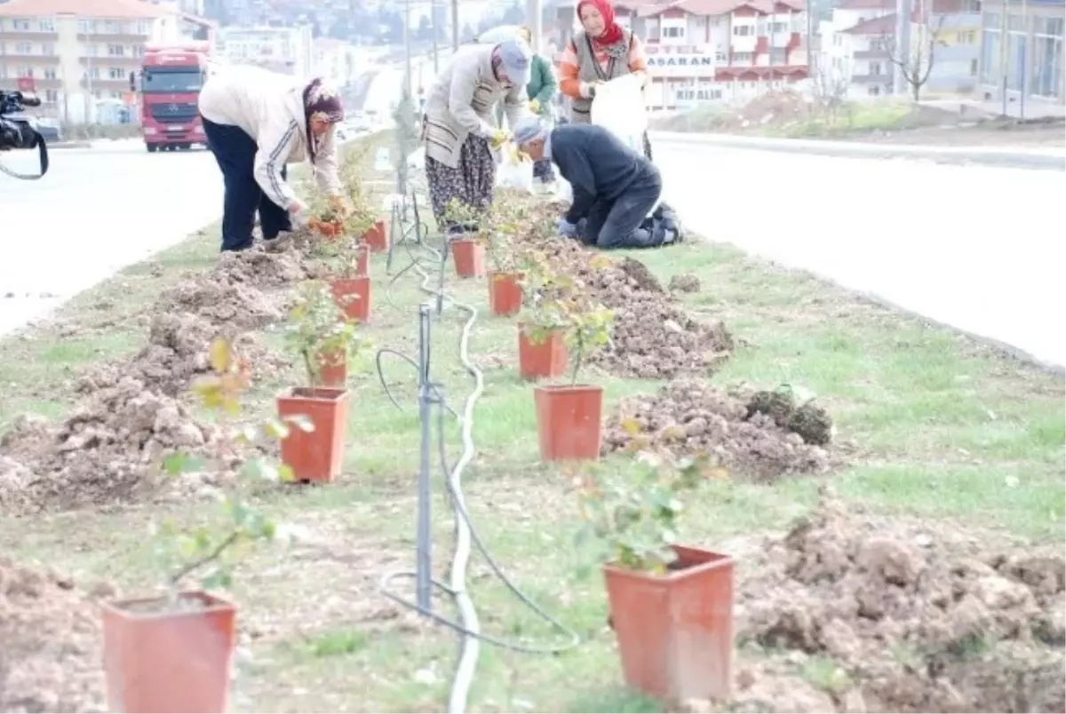 Bilecik Bahara Hazırlanıyor