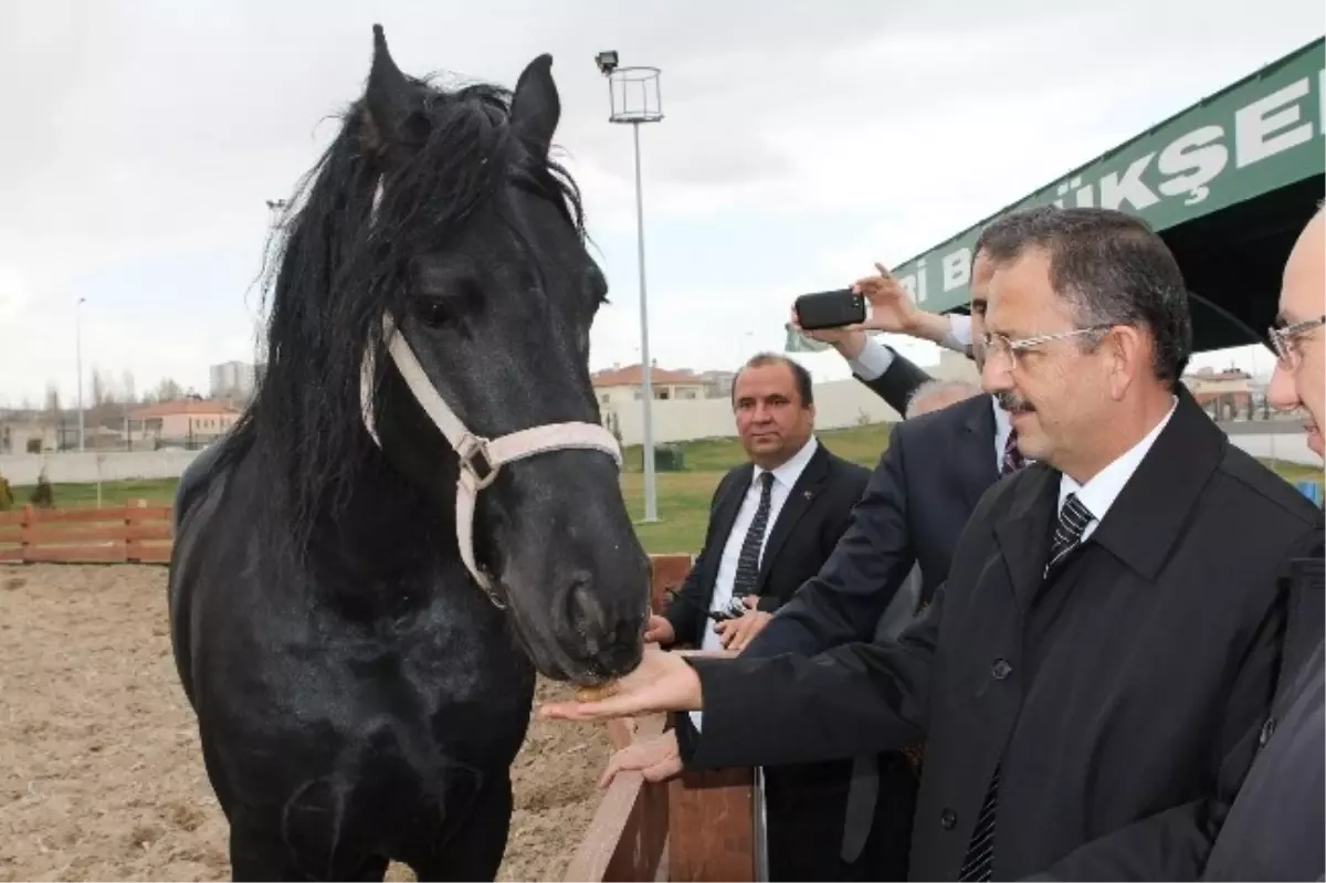 Hayvanları Eliyle Besledi