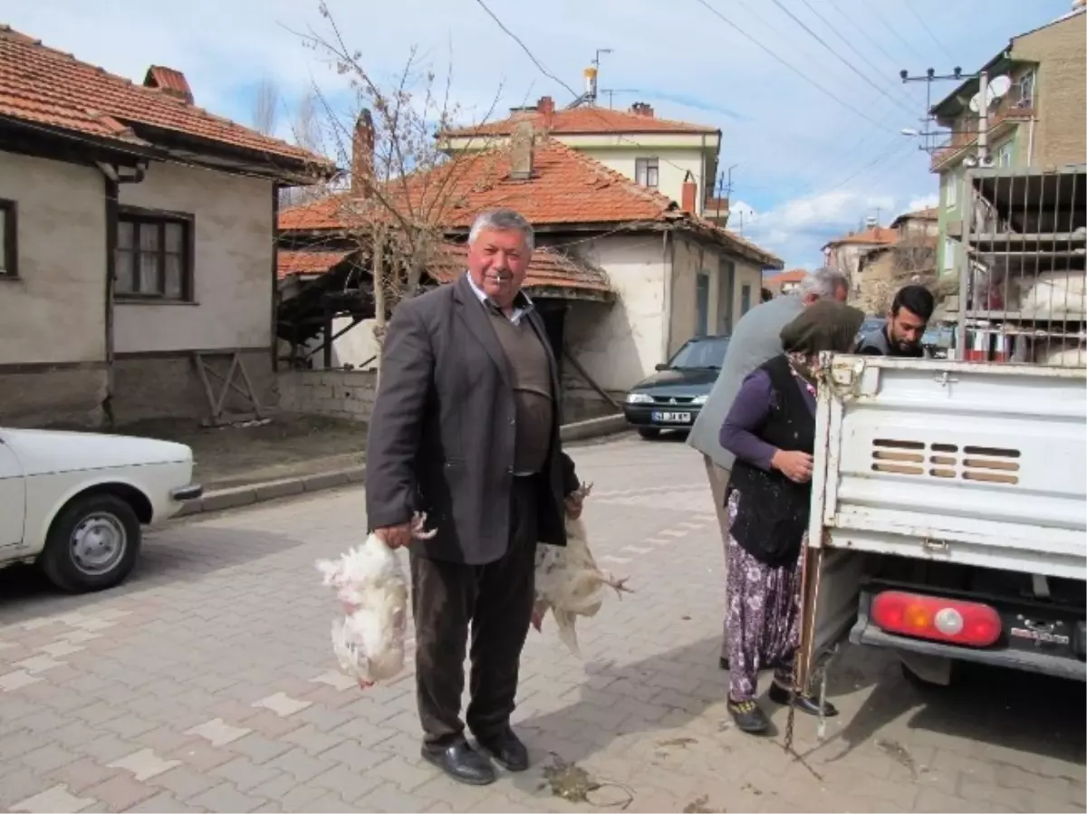 Hisarcık\'ta Dar Gelirli Vatandaşın Tercihi Canlı Tavuk