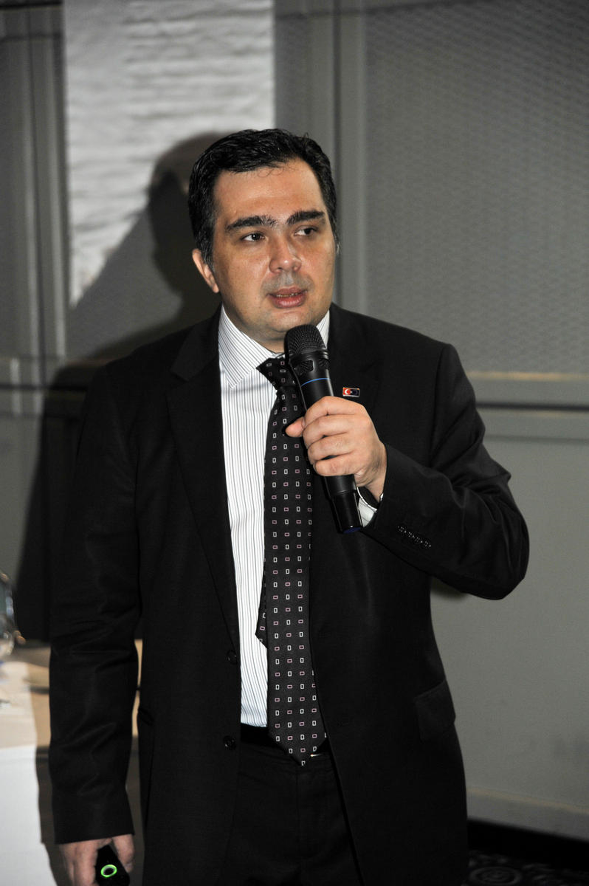 İnsan Hakları Alanında Bireysel Başvuru Usullerinin Tanıtılması Projesi"