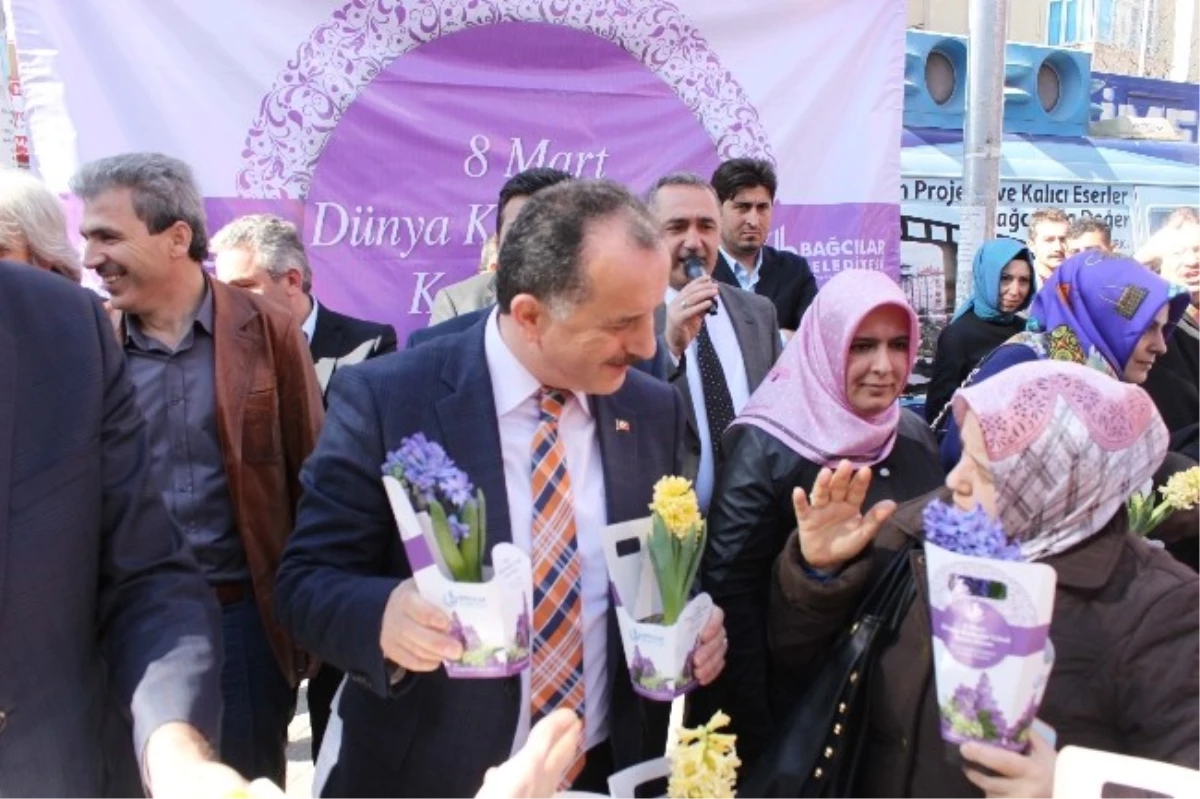Kadınlar Günü\'nde Bağcılarlılara Toplam 20 Bin Sümbül Dağıtıldı