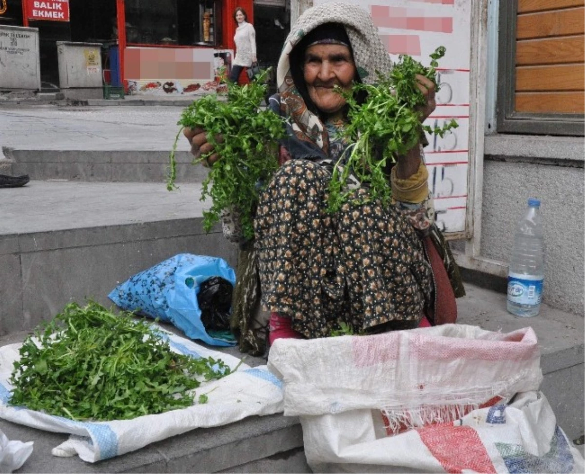 Gaziantep\'te 87 Yaşındaki Meryem Ninenin Örnek Azmi