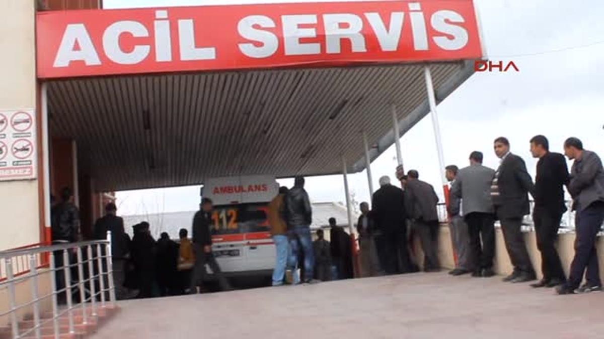 Alime Gelin, Kadınlar Gününde Öldü ya da Öldürüldü