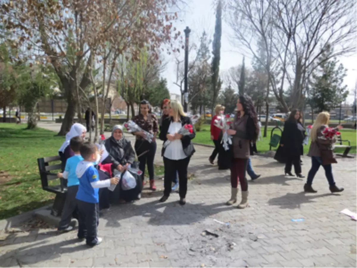 CHP'li Başkan Adayı Ve Partililerden Kadınlara Karanfil