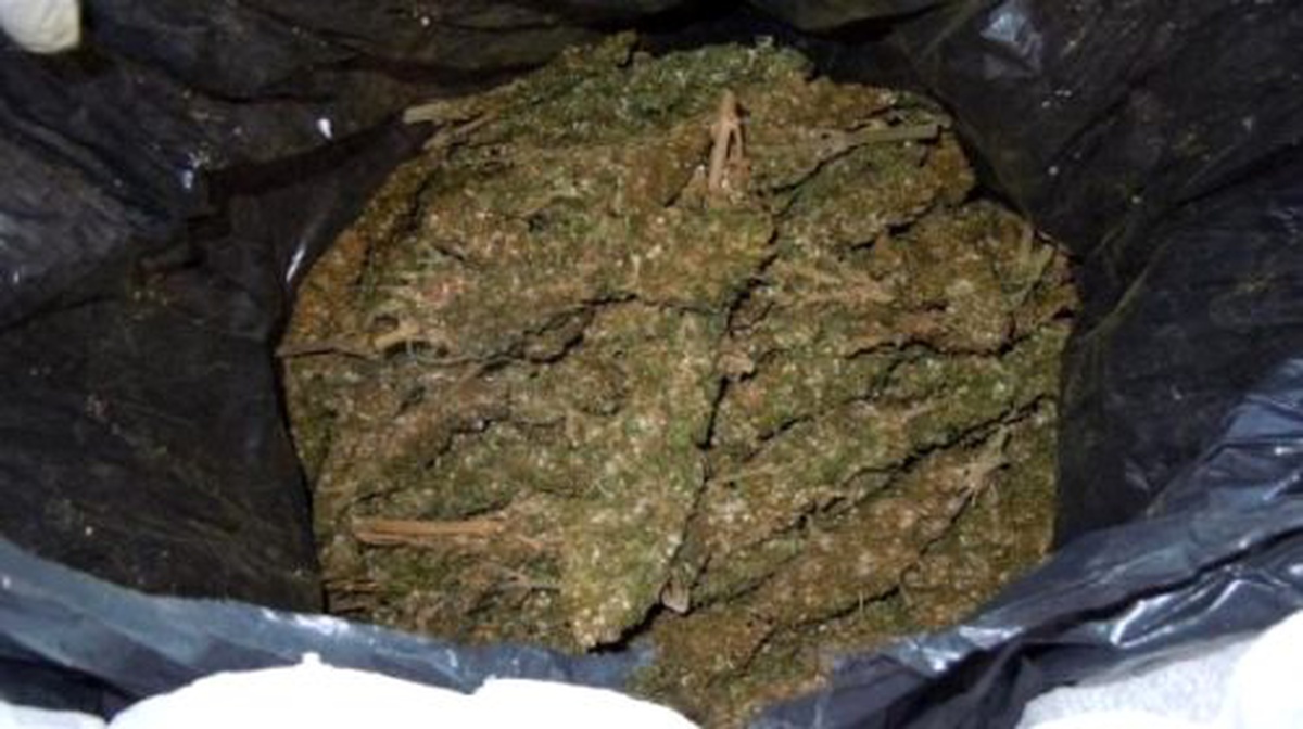 Bingöl\'de 352 Kilo Esrar Ele Geçirildi