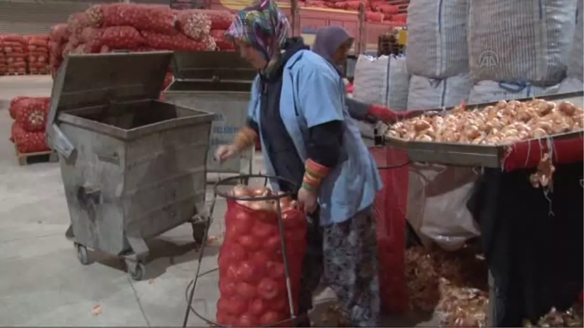 "İş"te kadın "hal"leri -