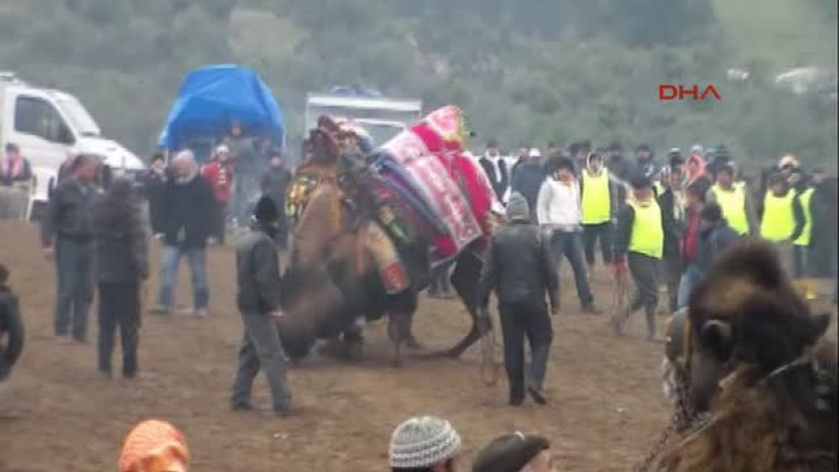 Develer Köyün İçme Suyu Şebekesi İçin Güreşti