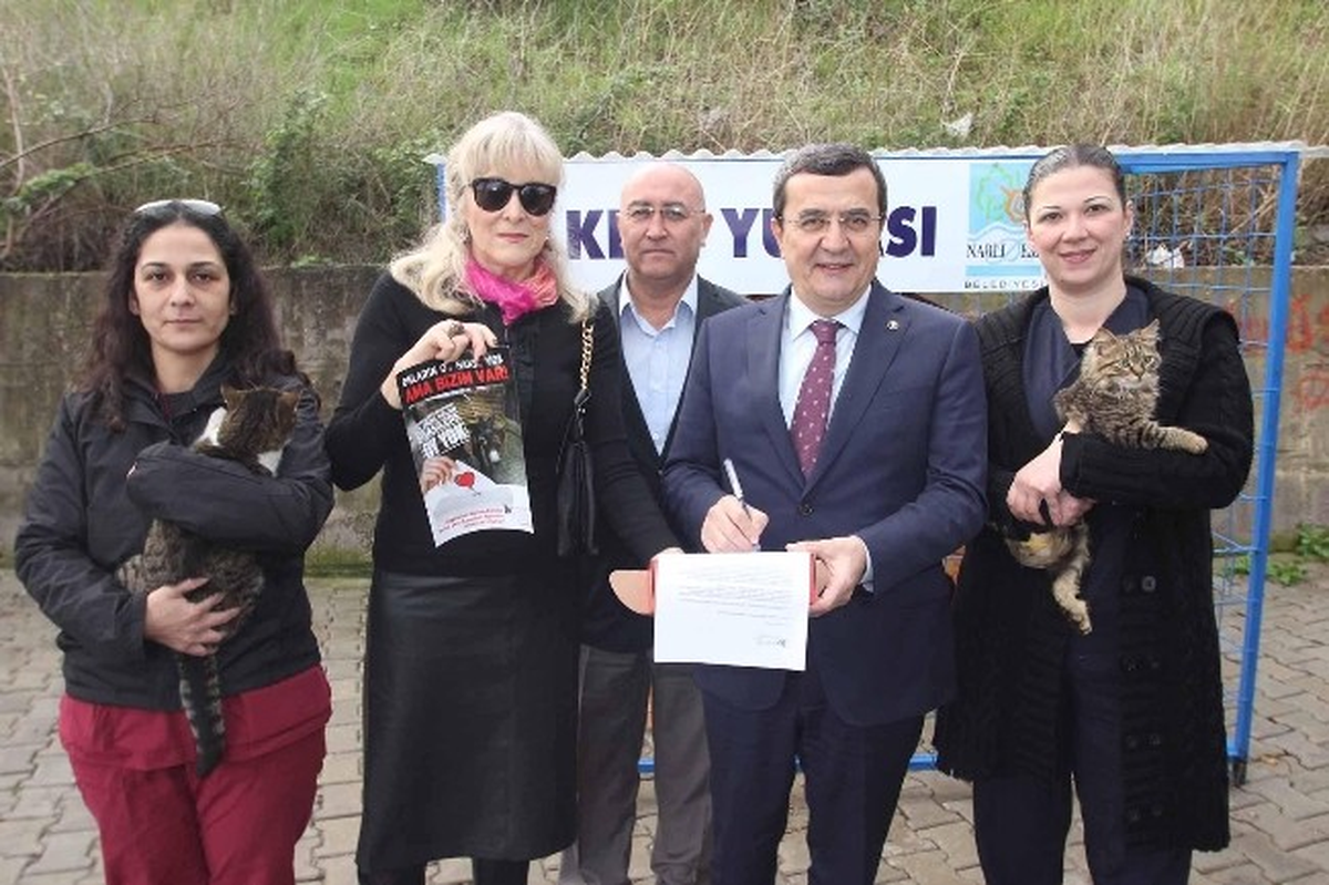 Narlıdereli Kedilerin Yuvası Hazır
