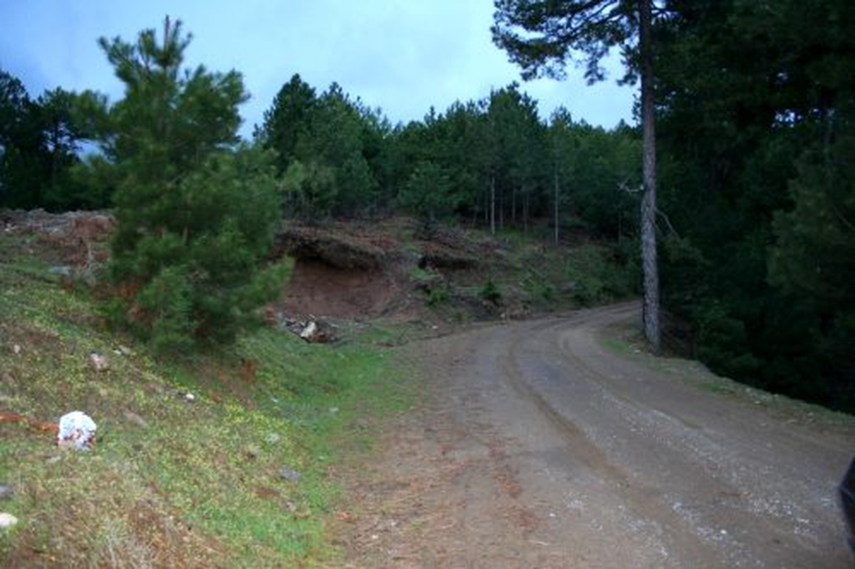 Düzce\'de 2b Arazilerinin Satışı