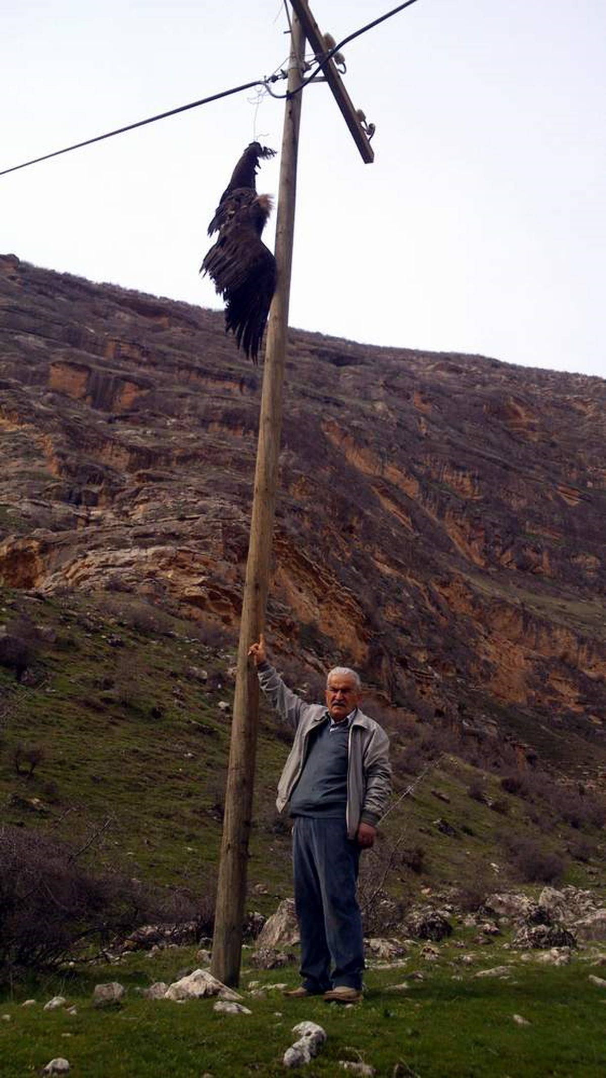 Avcılar Derneği, "Şah Kartalı Çırpına Çırpına Can Vermiş"