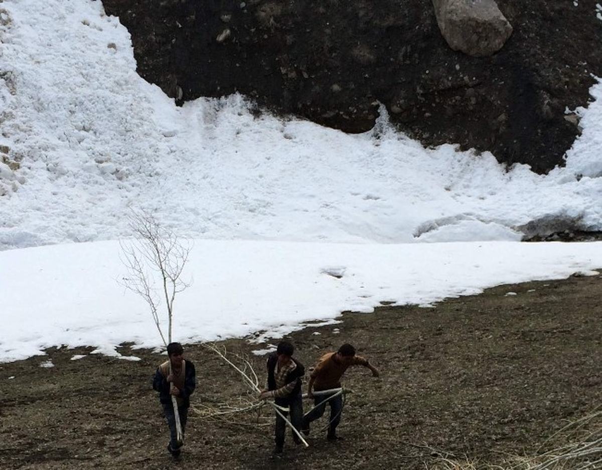 Çığ Getiriyor Onlar Topluyor