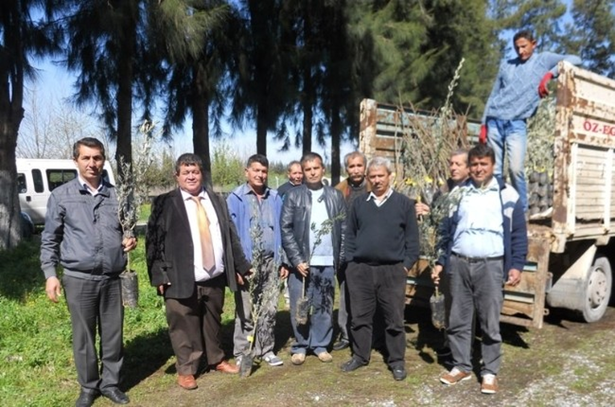Dalaman\'da Fidan Dağıtımları Sürüyor