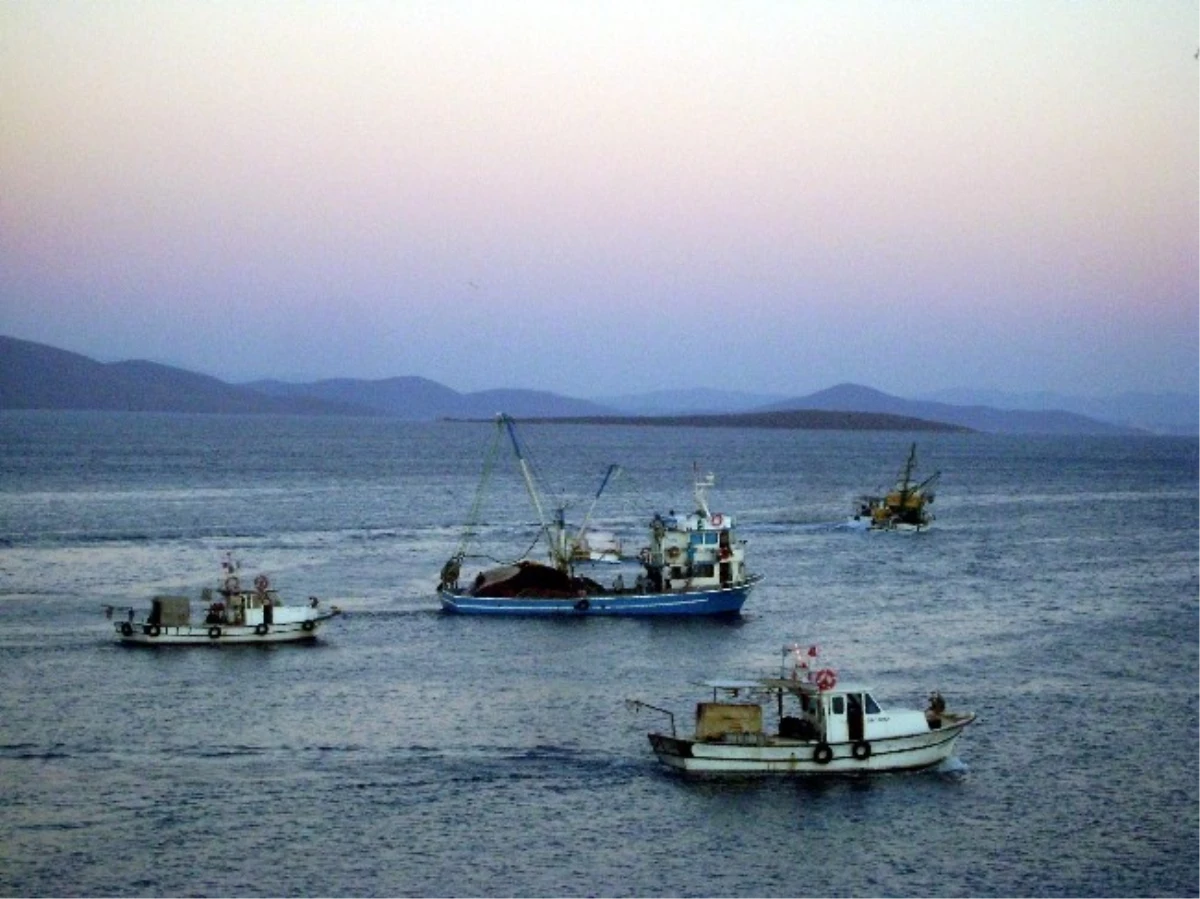 Didimli Balıkçılar Lodosun Ardından Tekrar Denize Açıldı