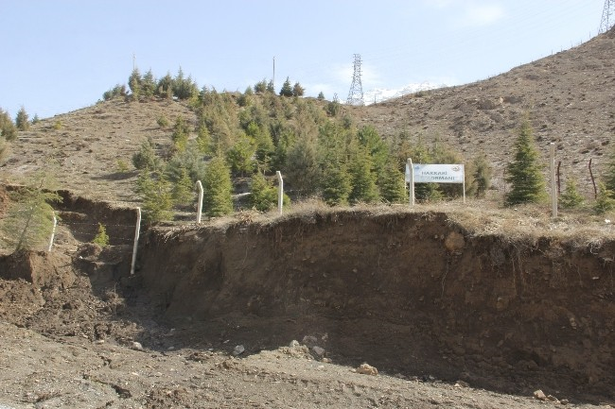 Hakkari Kent Orman Parkı Tahrip Oluyor