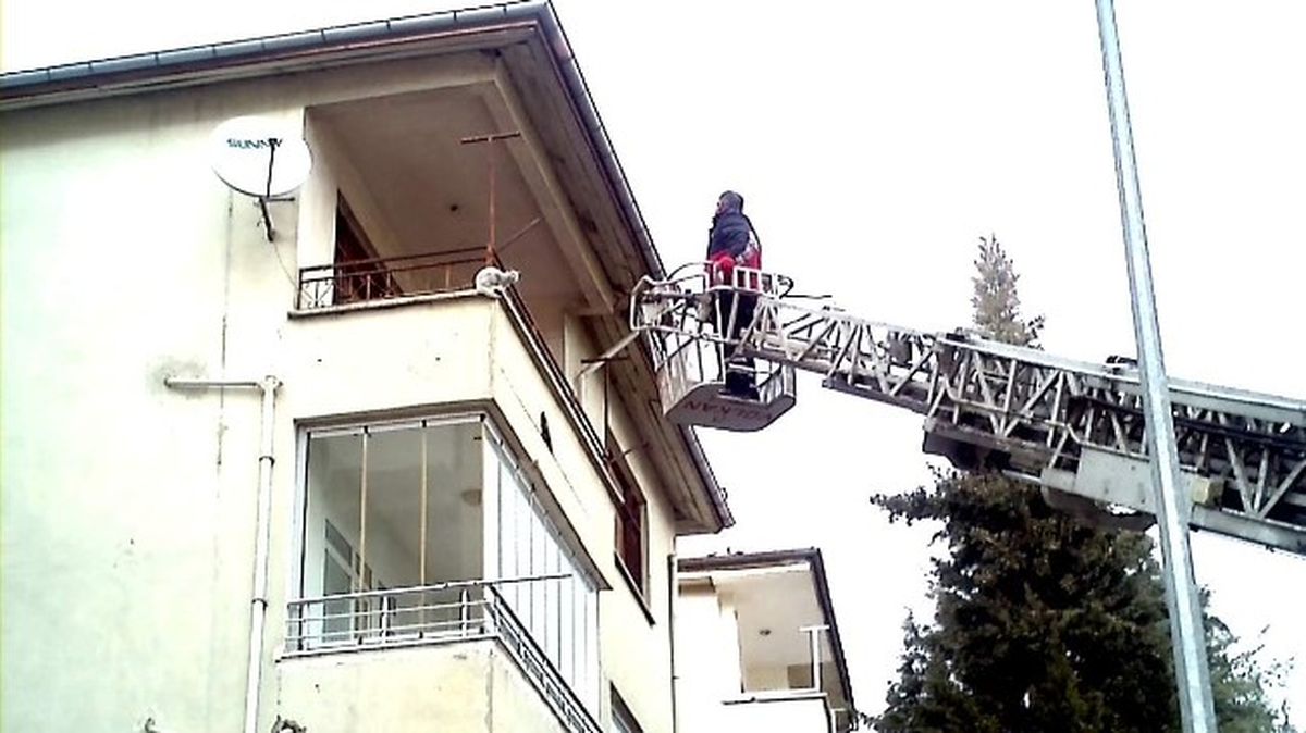 İtfaiyecinin Kediyle İmtihanı