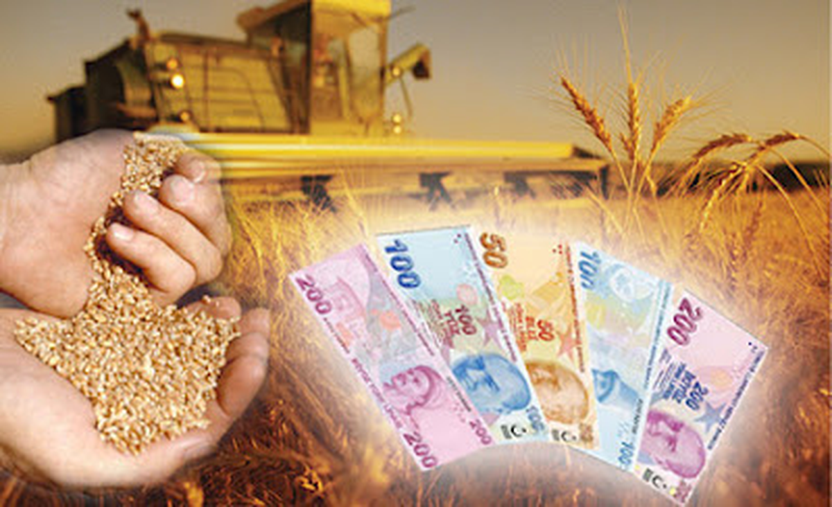 Ovacık\'ta Tohum Desteklerinin Ödenmesine Başlandı