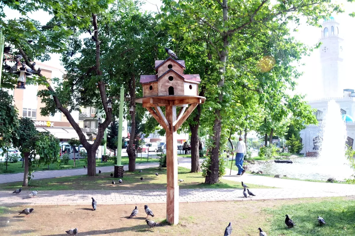 Eskişehir\'de Kuşlar İçin Parklara Yuva Yerleştiriliyor