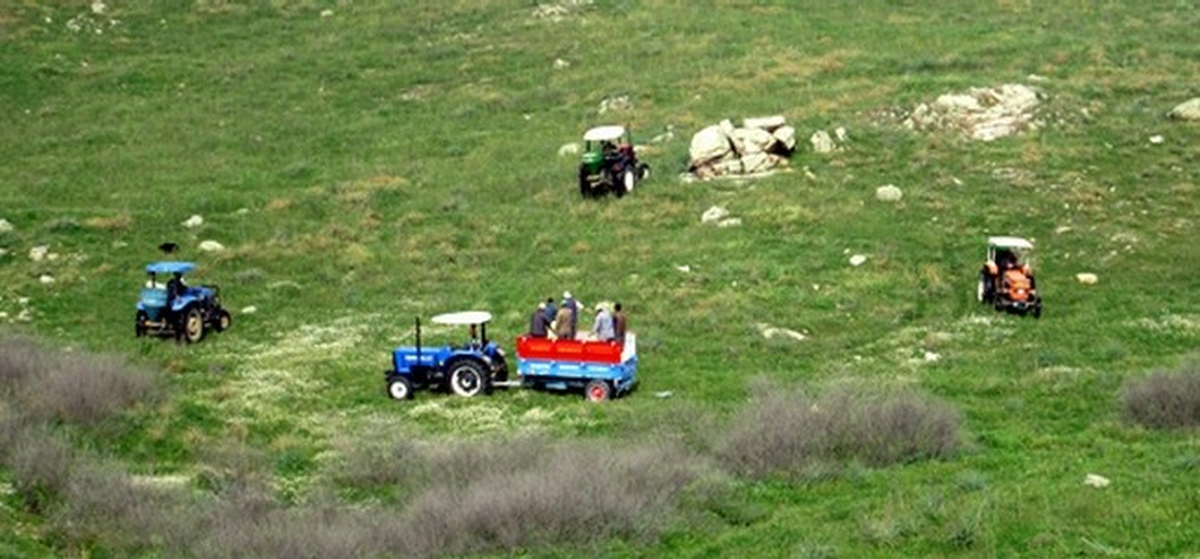 Çine Yörükler Köyünde Mera Islah Çalışmaları Başladı