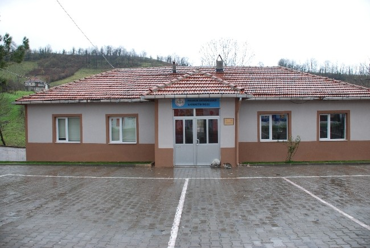 Okuma Yazma Öğrenince Kitap Kurdu Oldu