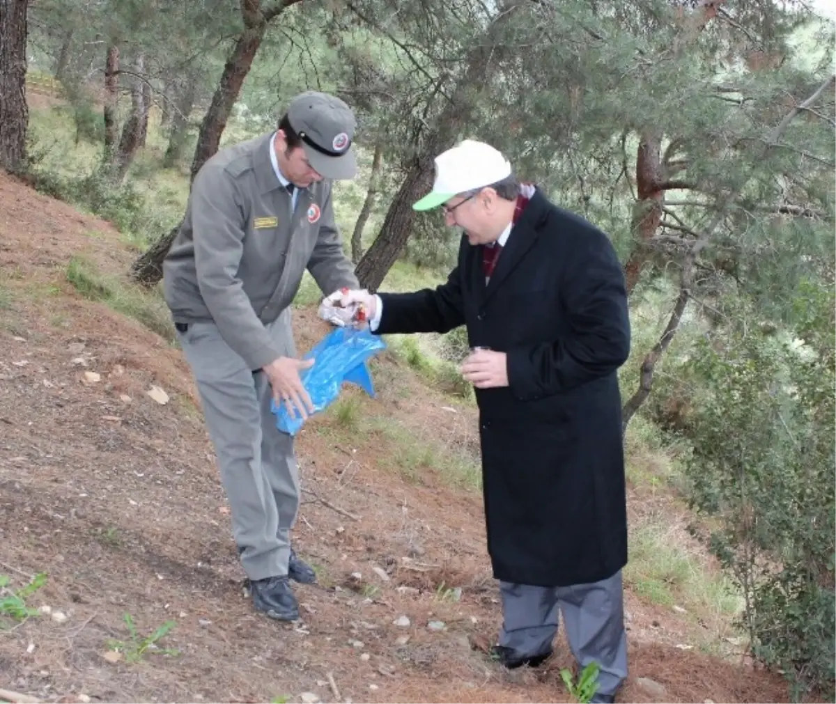 Vali Öğrencilerle Çöp Topladı