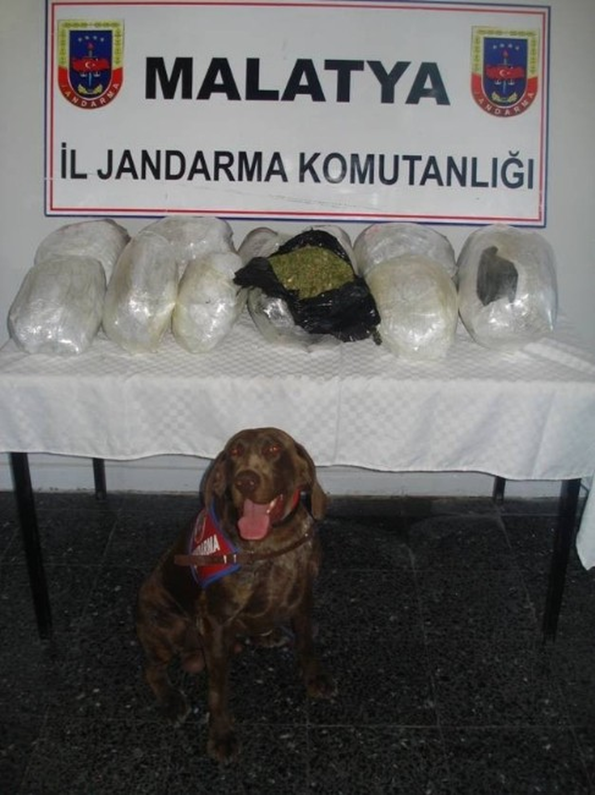 Yolcu Otobüsünde Esrar Ele Geçirildi