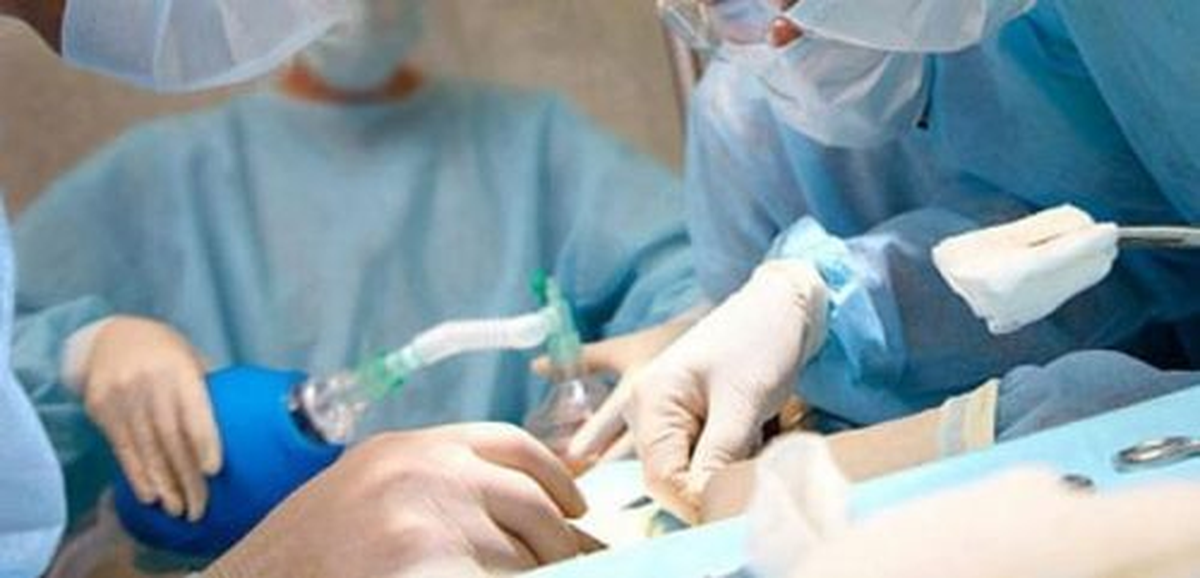 12 Yılda 20 Binden Fazla Böbrek Nakli Yapıldı