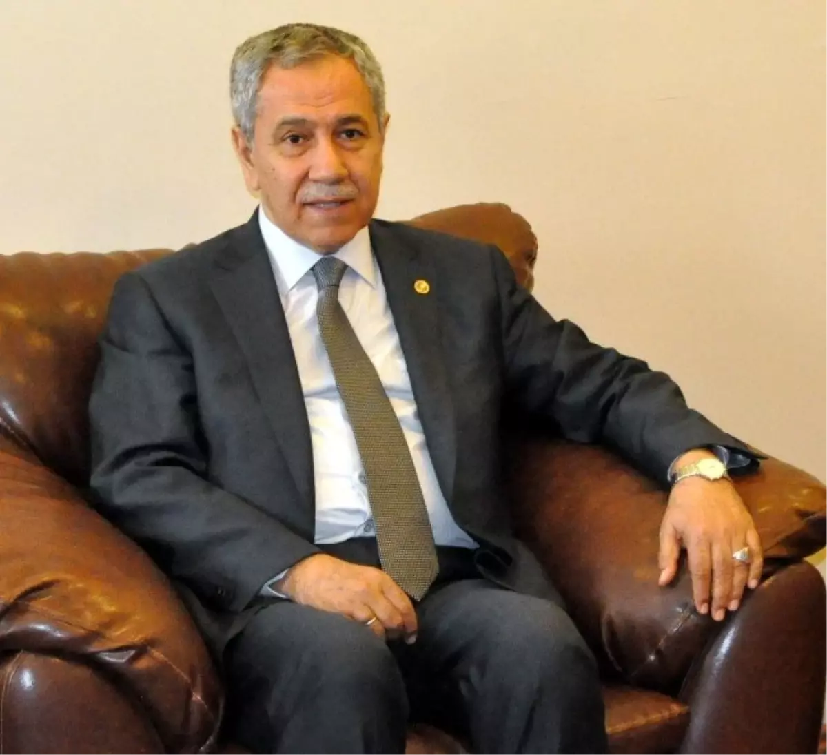 Arınç\'tan Berkin Elvan Yorumu: Başbakanımız da Üzülmüştür