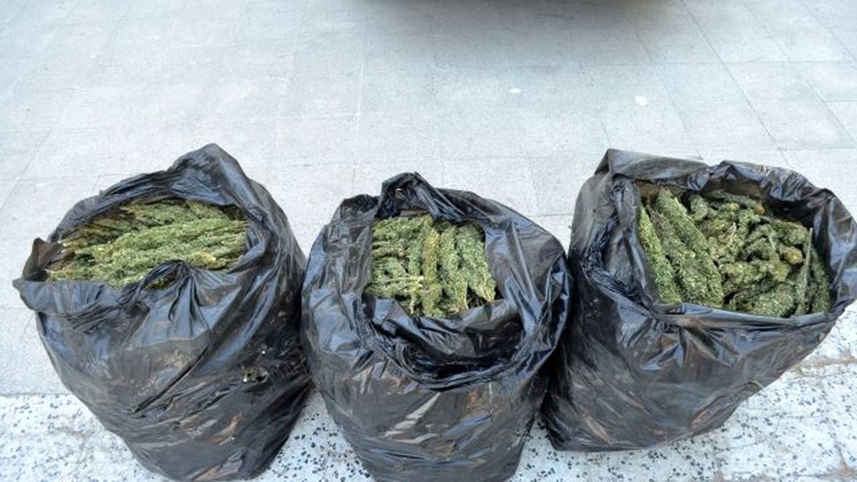 Birecik\'te 2013 Yılında 1.8 Ton Esrar Ele Geçirildi