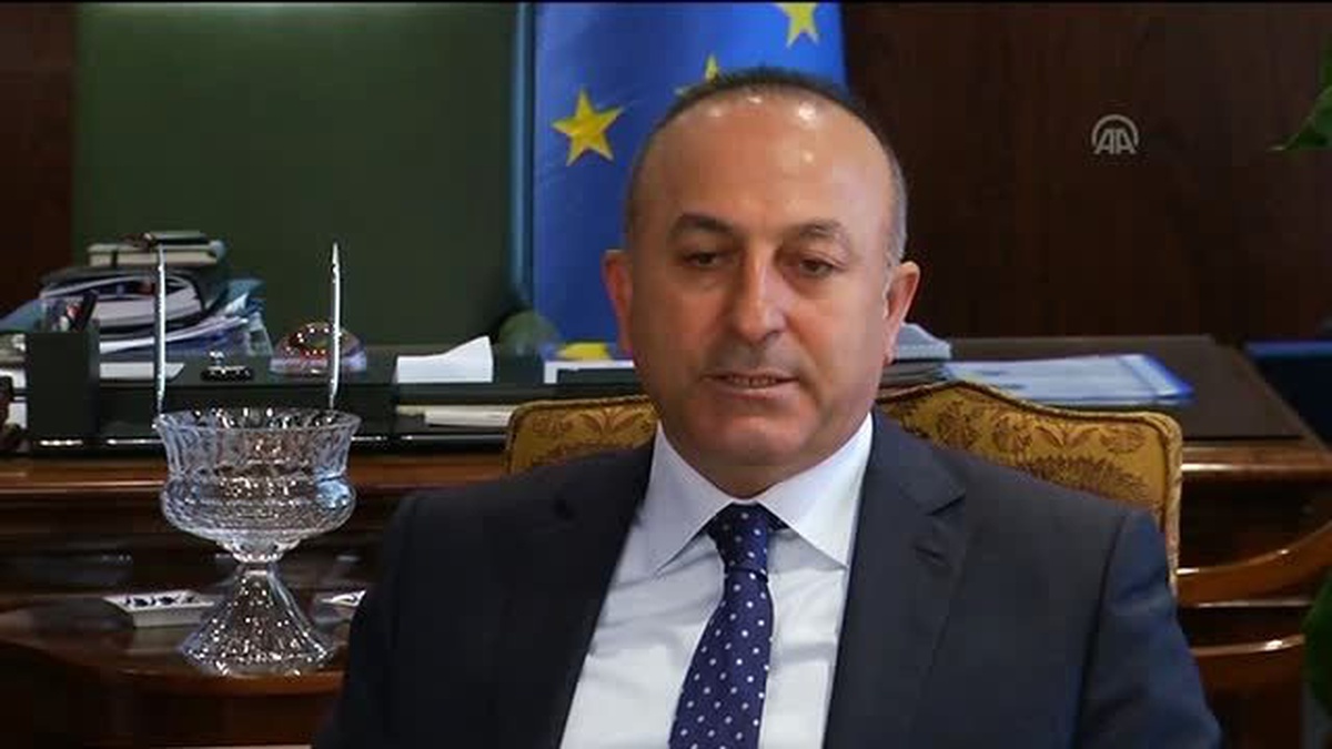 Bakan Çavuşoğlu, "Ab Sürecinde Gençliğin Hayallerine İhtiyaç Var" (2)